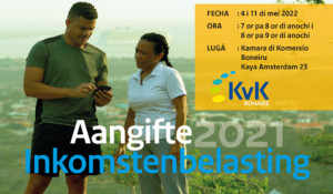 Hulp_bij_inkomsten_belasting_PAP